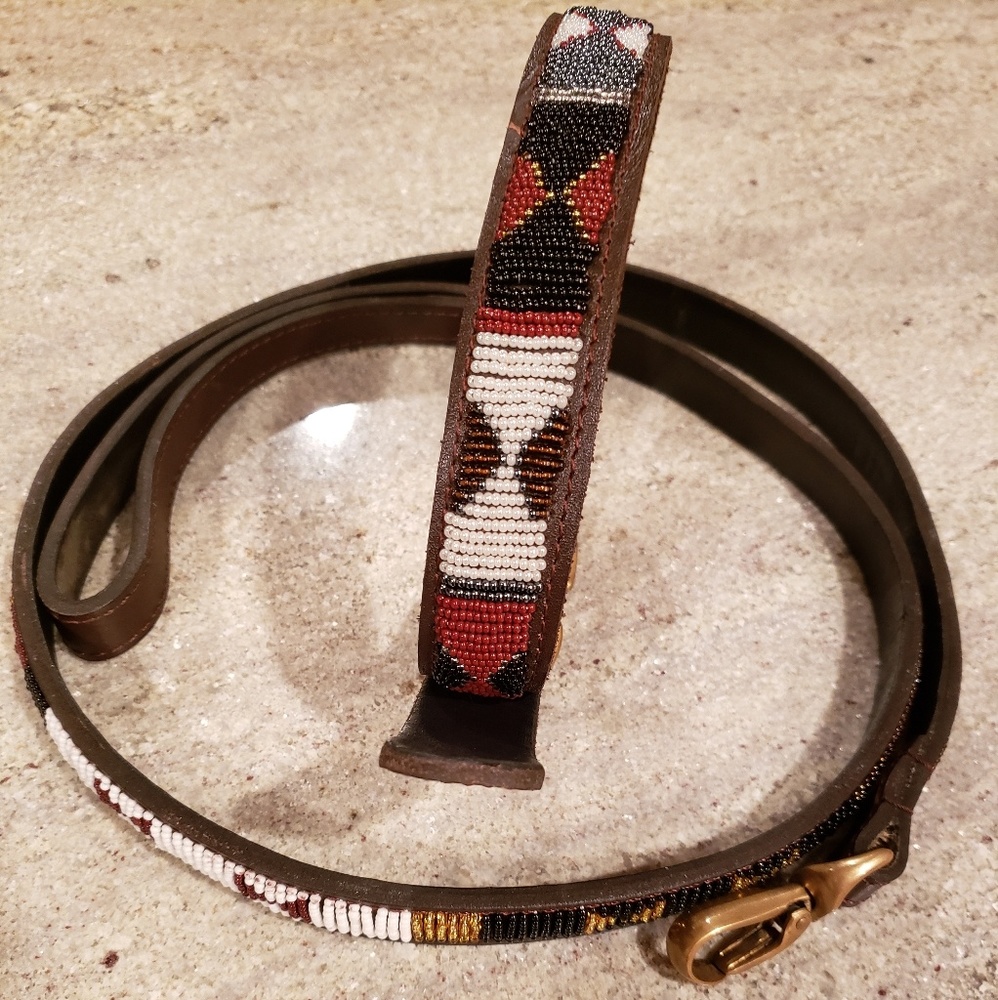 Leather dog leash and collar